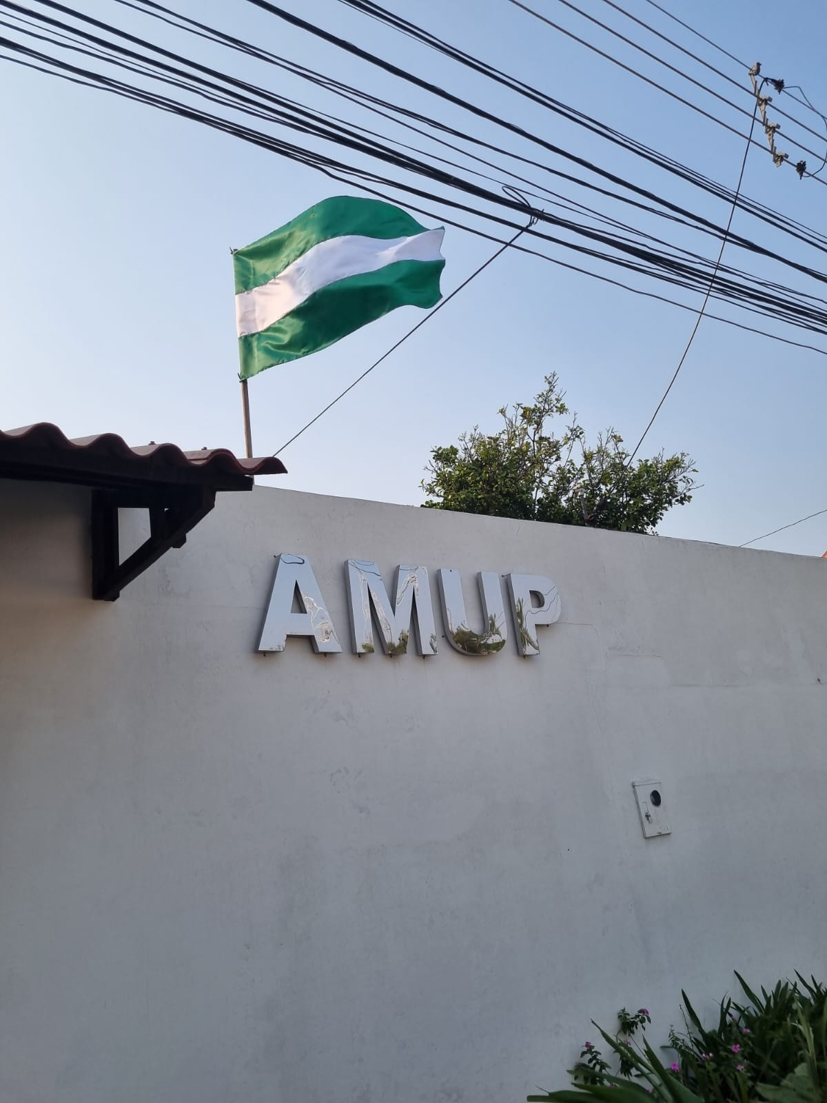 WhatsApp Image 2025-06-11 at 18.34.27